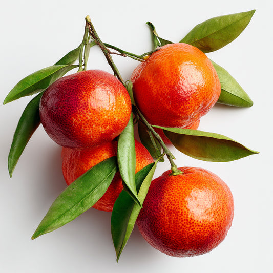 Red Mandarin Peel Wax CO₂ Extract (Citrus reticulata)