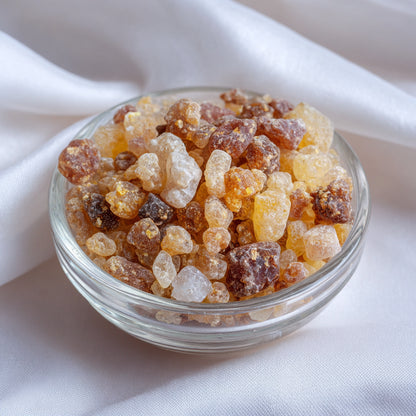 Botanica Gaia Wildcrafted Frankincense Rivae Essential Oil | Boswellia Rivae | Elegant Frankincense Resin of Serenity, Clarity & Spiritual Balance