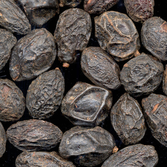 Botanica Gaia 100% Bio Saw Palmetto Seed Oil | Serenoa Repens | Carrier Oil for Skincare and Haircare