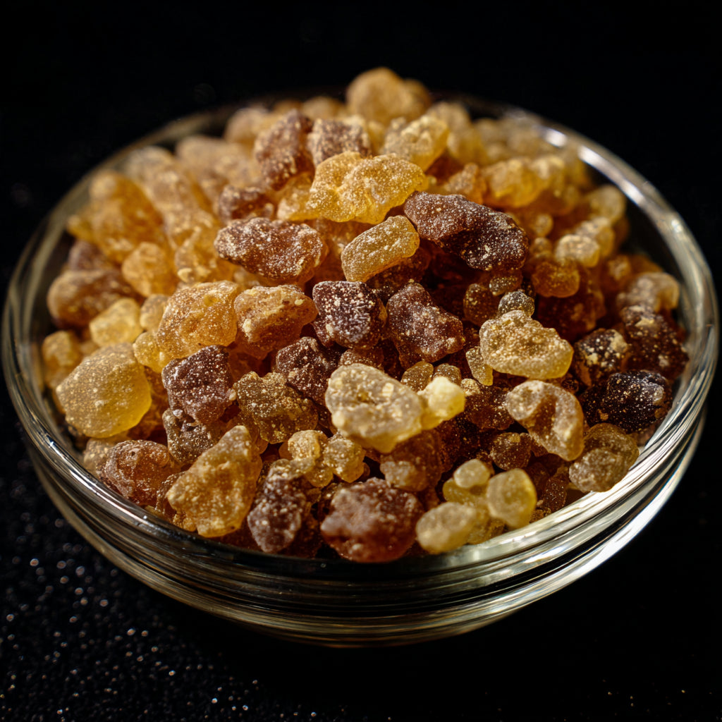 Botanica Gaia Wilcrafted Frankincense Serrata Macerate in Jojoba Seed Oil | Boswellia Serrata and Simmondsia chinensis | Premium Quality |