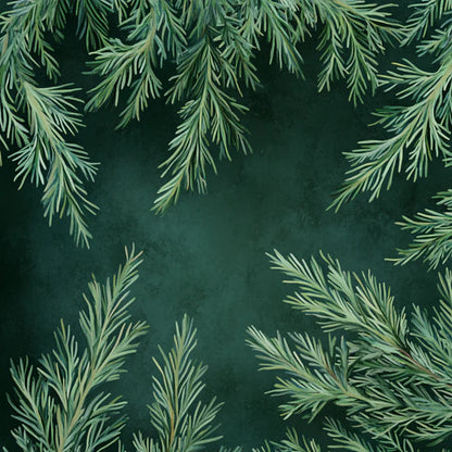 Cypress CO2 Extract (Cupressus sempervirens)