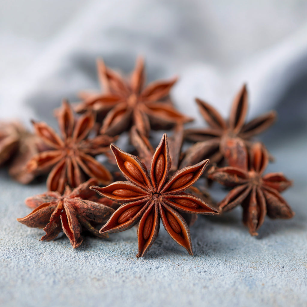 Botanica Gaia Organic Star Anise Essential Oil | Illicium Verum | For Aromatherapy, Incense and Skin Care
