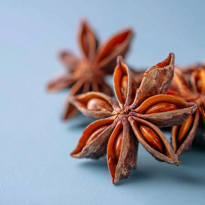Botanica Gaia Organic Star Anise Essential Oil | Illicium Verum | For Aromatherapy, Incense and Skin Care