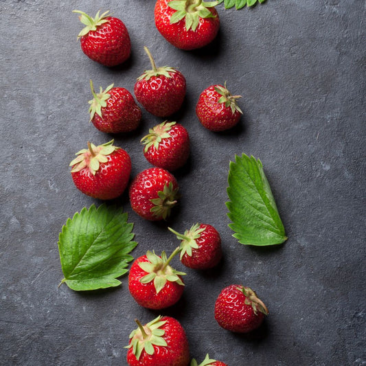 Botanica Gaia Bio Strawberry Seed Carrier Oil – product image 2