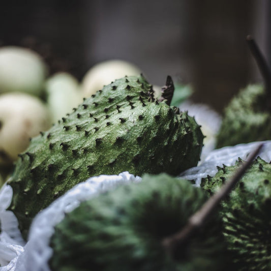 Botanica Gaia Bio Soursop Seed Carrier Oil – product image 2