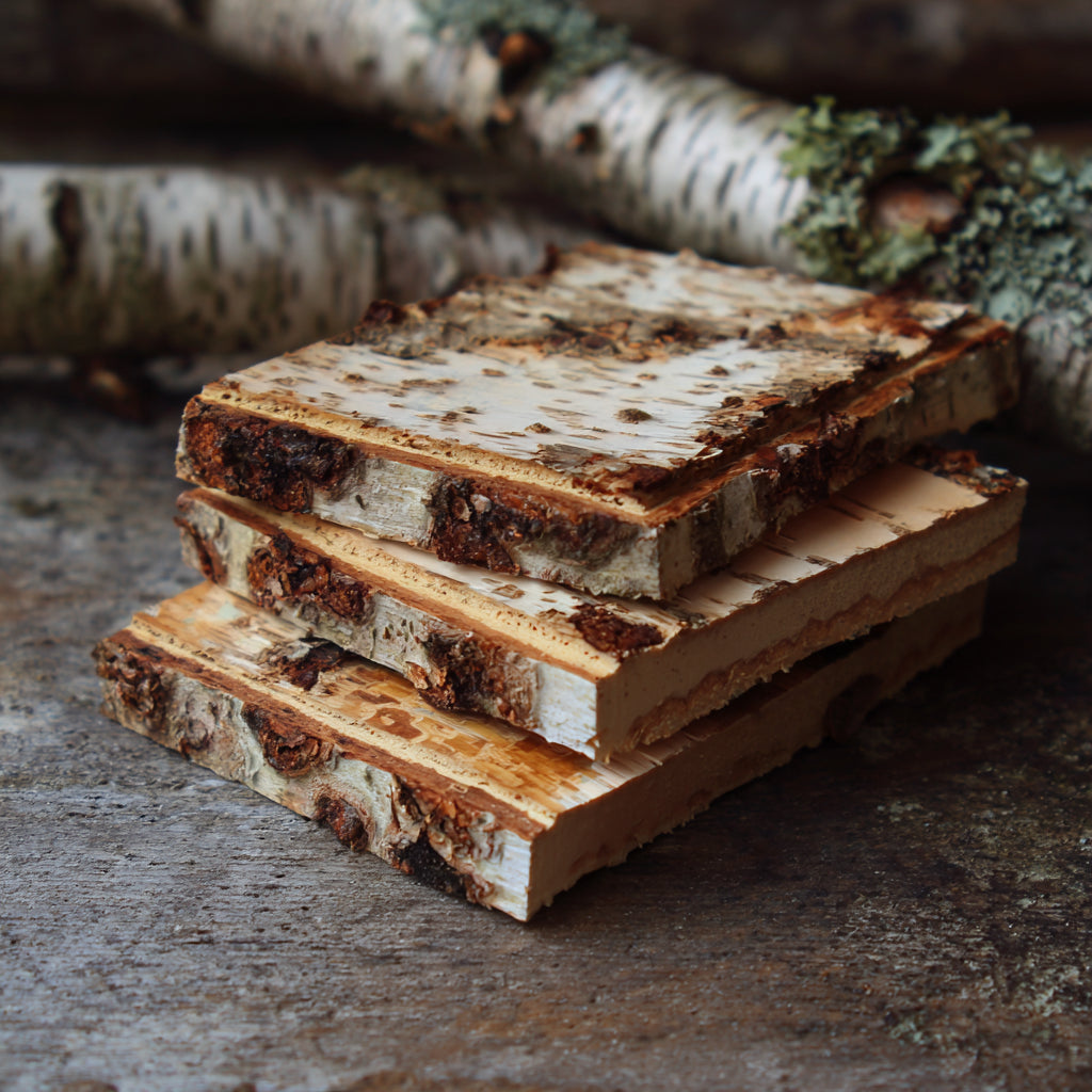 Botanica Gaia Sweet Birch Essential Oil, Canada | Betula lenta | For Aromatherapy and Oitments