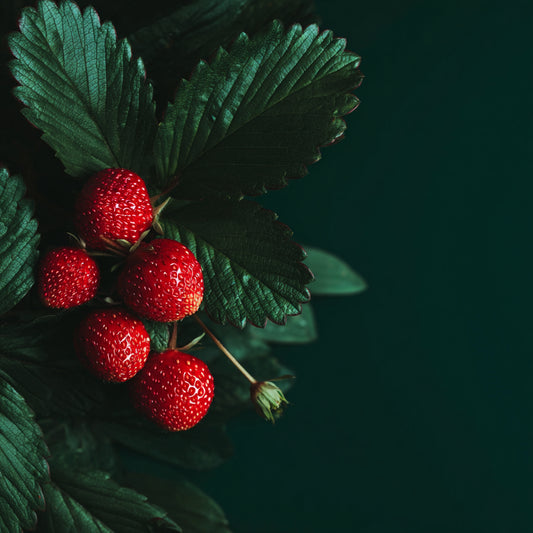 Berry Silk - Whipped Tallow Cream with Strawberry Seed Oil for Radiant Skin