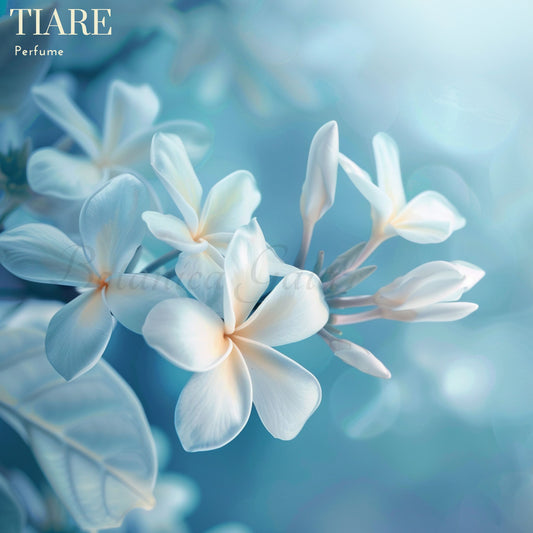Botanica Gaia Tiare Perfume Oil – product image 2