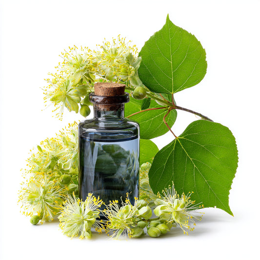 Botanica Gaia Hydrosol Toner Lindem Blossom | Artisan Distilled | Tilia Cordata