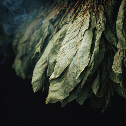 Tobacco Leaf Wax | Nicotiana Tabacum | Warm, woody, and smoky aroma with grounding, sensual, and antioxidant properties for skincare and perfume.
