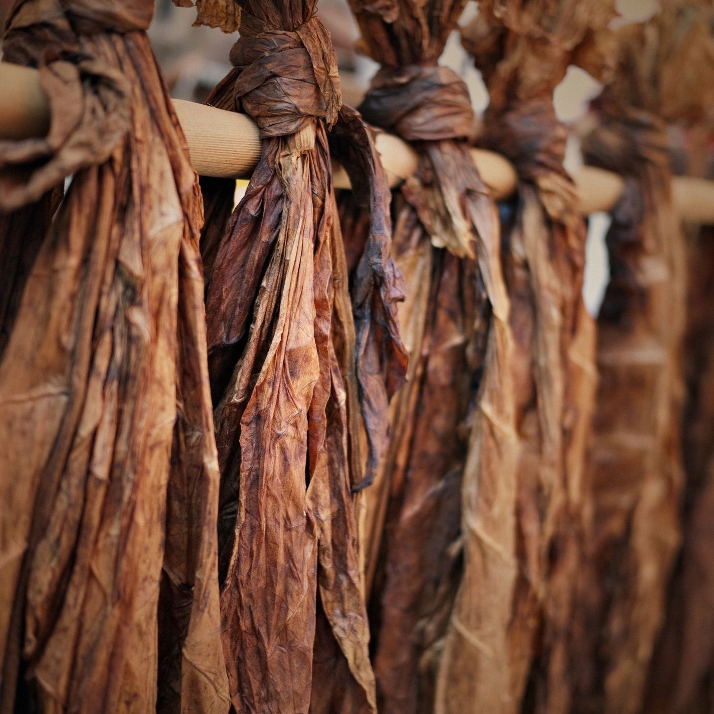 Bio Tobacco Leaf Absolute | Nicotiana Tabacum | Deep, Warm, and Luxurious Essence of Natural Sophistication