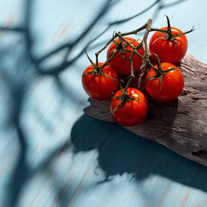 Bio Tomato Skin CO2 Extract (Solanum Lycopersicum) | Rich in Lycopene