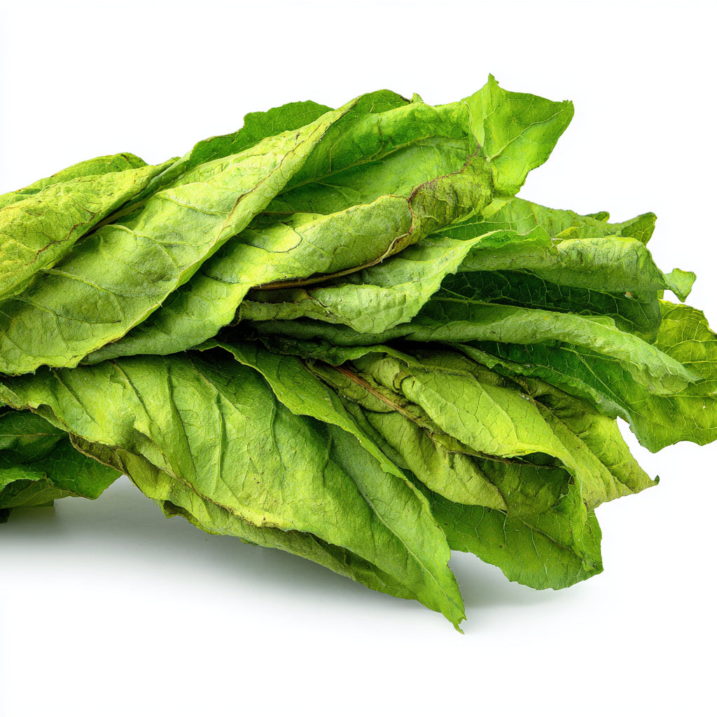 Tobacco Leaf Wax | Nicotiana Tabacum | Warm, woody, and smoky aroma with grounding, sensual, and antioxidant properties for skincare and perfume.