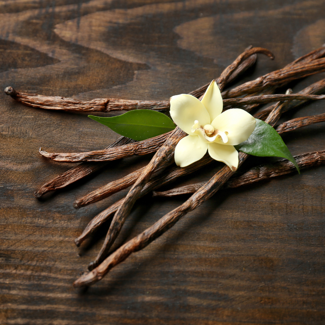 Vanilla Bean Wax CO₂ – A Rare Green-Gourmand Botanical Wax for Skincare, Perfumery & Artisanal Formulations