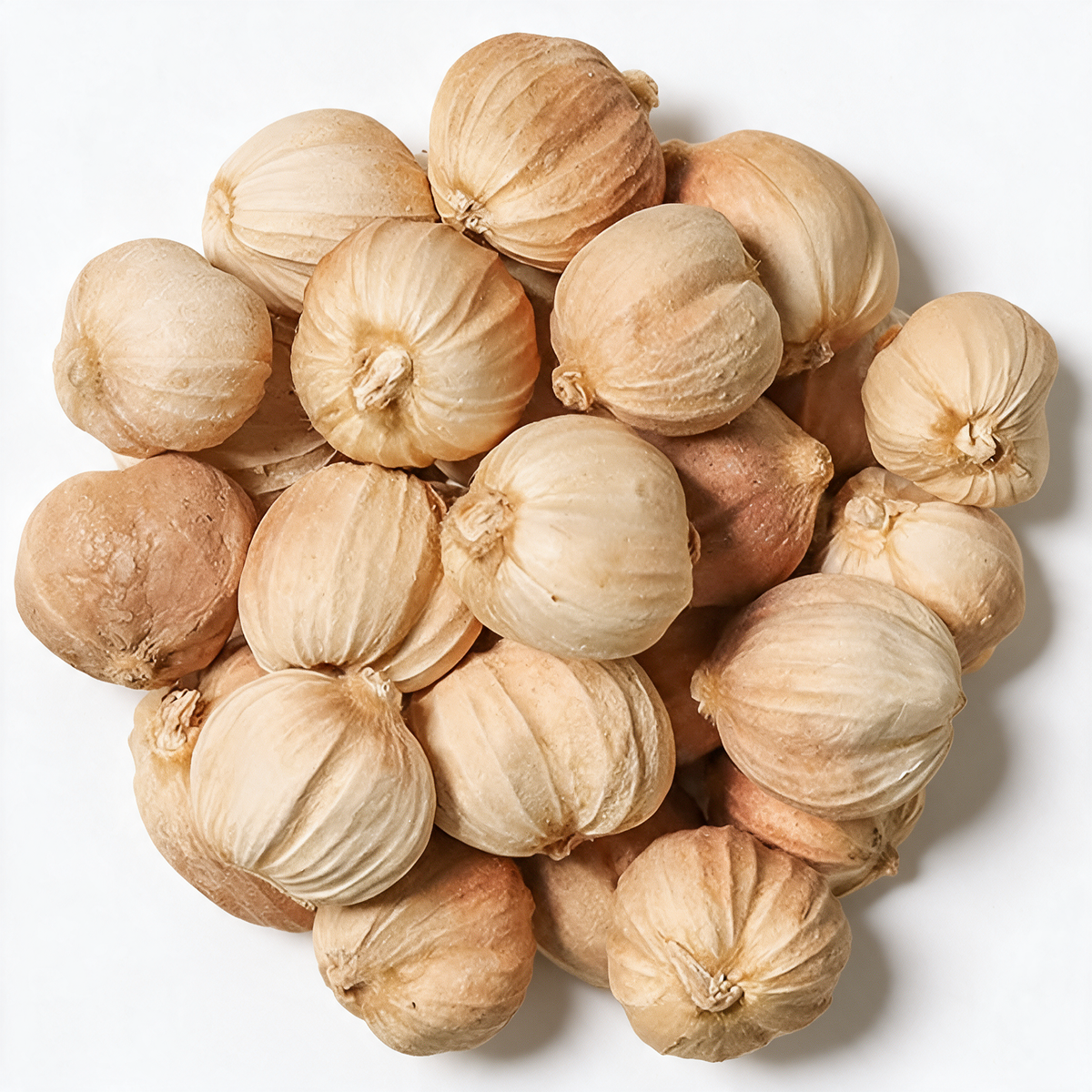 Java White Cardamom Essential Oil | Amomum Compactum