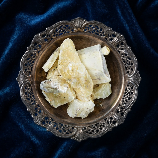 Wildcrafted White Copal Absolute | Bursera Bipinnata